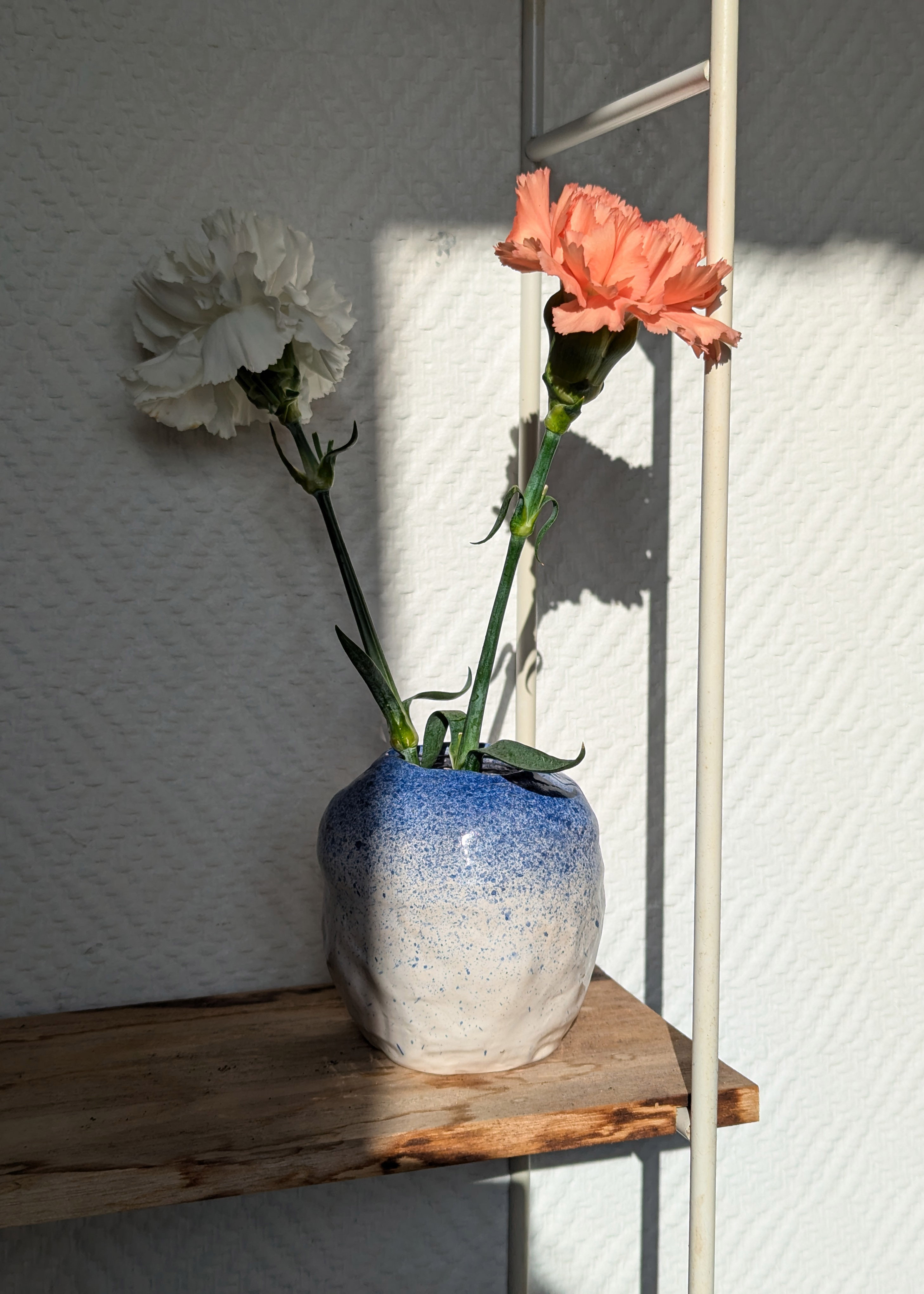 petit vase rond en faïence blanc moucheté de bleu, sur une étagère ensoleillée. Dans le vase, un oeillet blanc et un oeillet orange