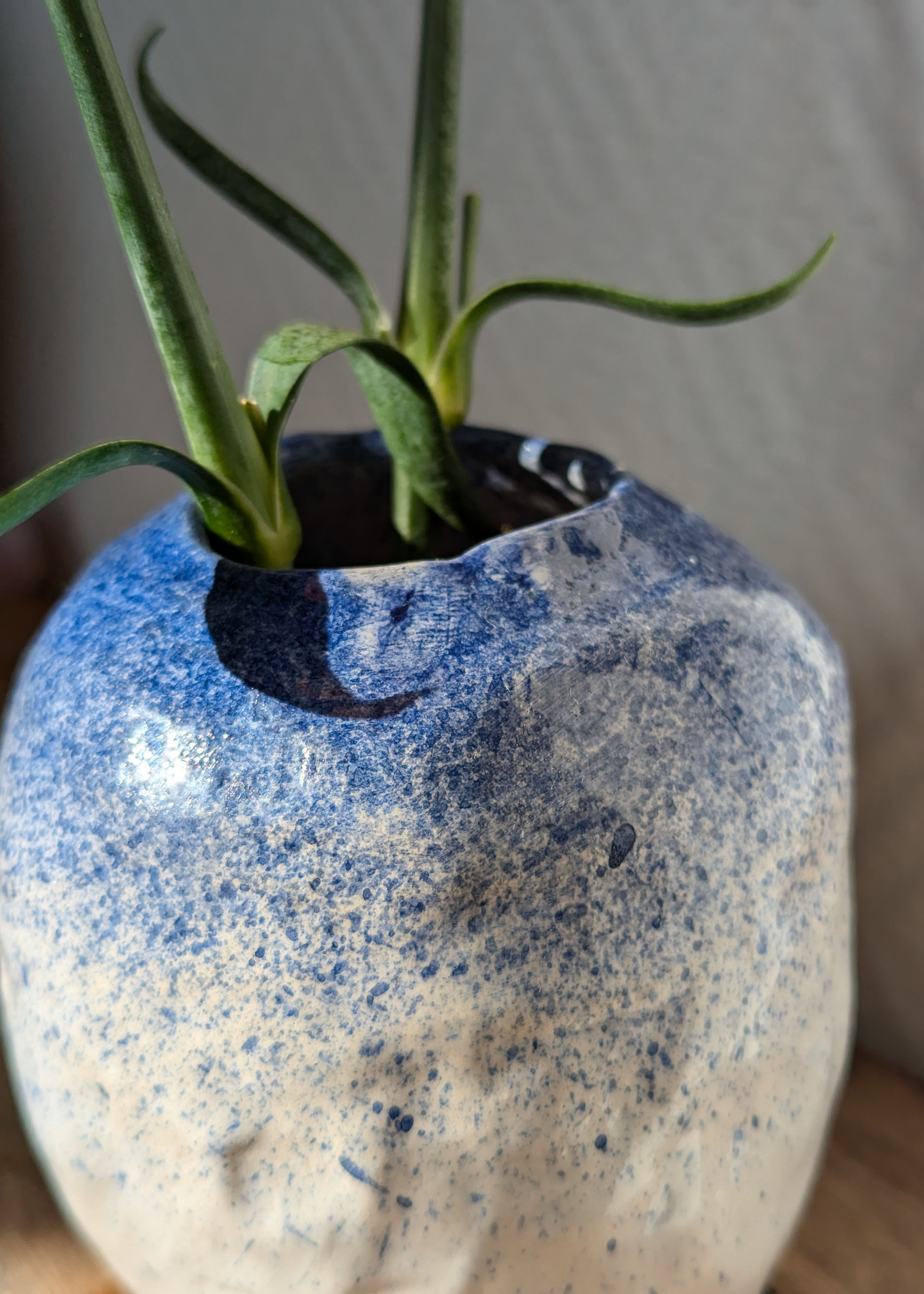 gros plan sur détail de petit vase rond en faïence blanc moucheté de bleu, sur une étagère ensoleillée